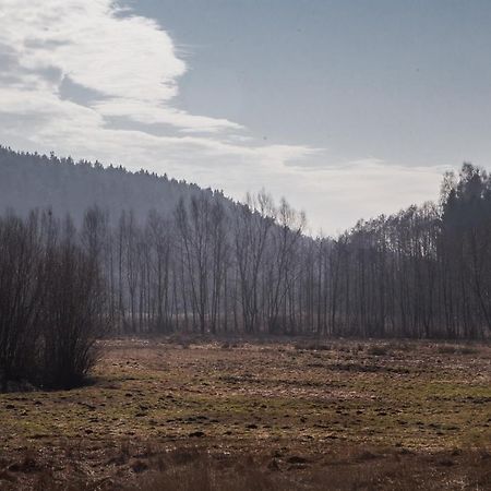Domki Przystanek Drzewina Exterior foto