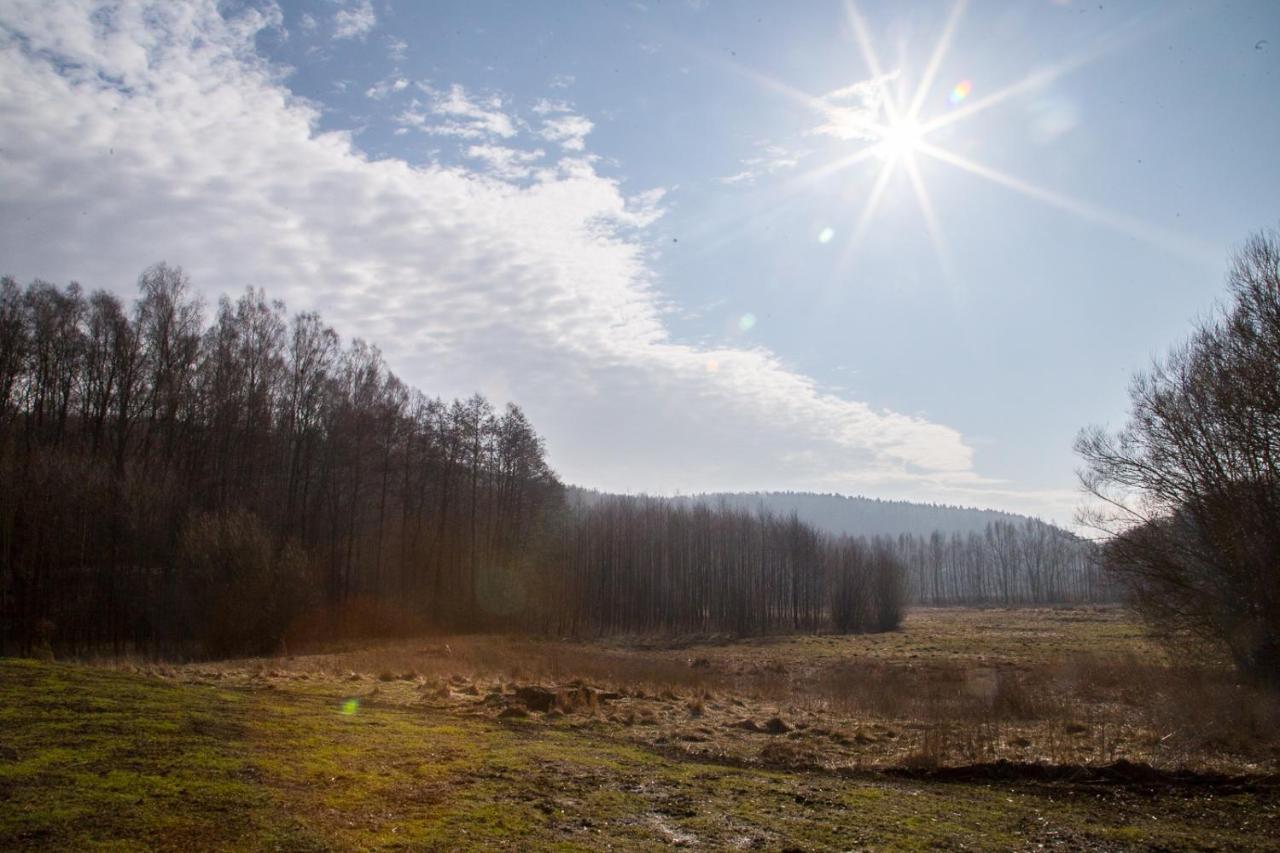 Domki Przystanek Drzewina Exterior foto