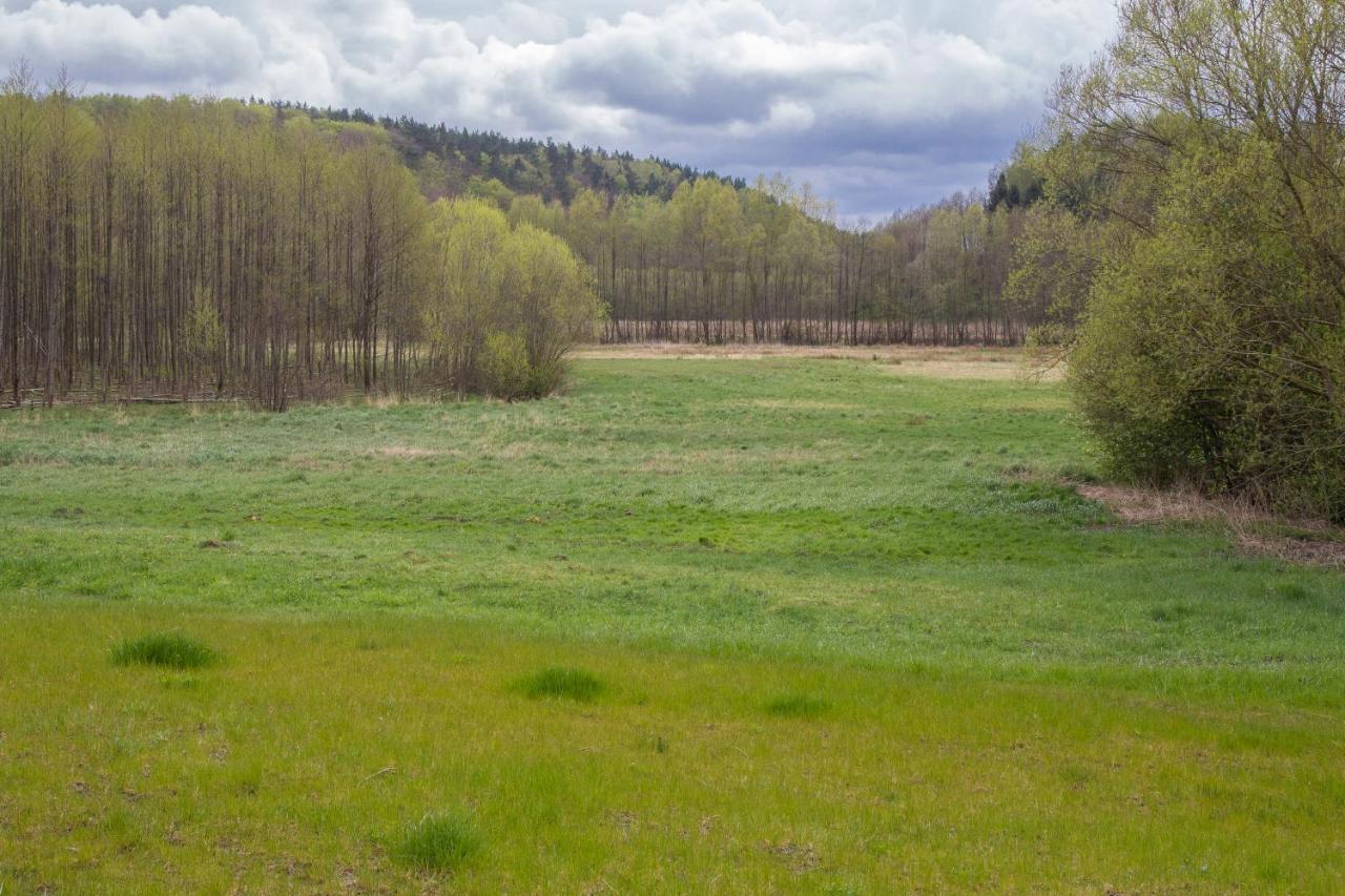 Domki Przystanek Drzewina Exterior foto
